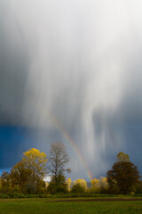 Rain shafts falling through a rainbow above sunlit trees in the countyside