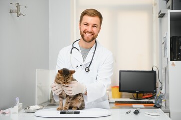 Handsome young veterinarian holding cat in clinic