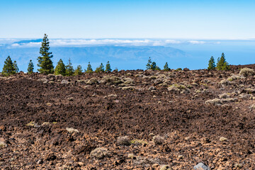 Lava formations and Cloud forest