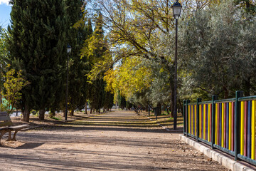 Autumn sunny morning in the park