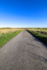 road in the countryside