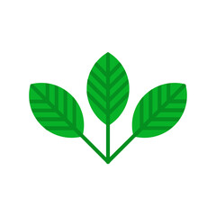 Mapple Leaf Icon