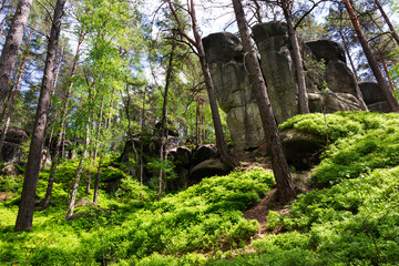 Beautiful sandstone Rocks in Czech Paradise, clear green Nature, Mala Skala, Little Rock, Czech Republic