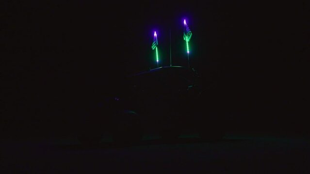 LED UTV Whip Lights 