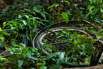 Bicicleta (Paisagem) | Bicycle