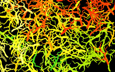 Dark Red, Yellow vector abstract backdrop with branches, leaves.