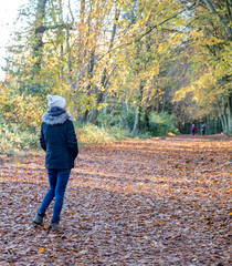 Single female enjoying a stroll through a rural woodland on an autumn day