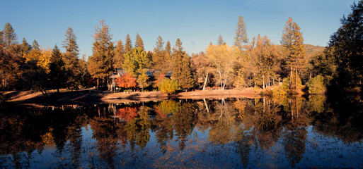 Sierra Fall Foliage 1