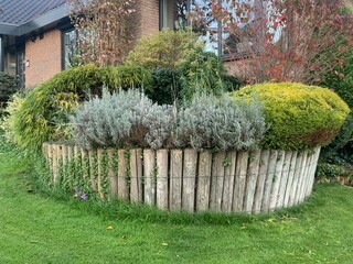 Flowerbed with a border of wooden logs. Plants of angustifolia lavender and juniper in a flower bed