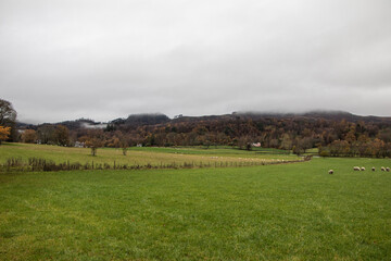 Obraz premium Scottish Highlands, field, village and sheep pasture