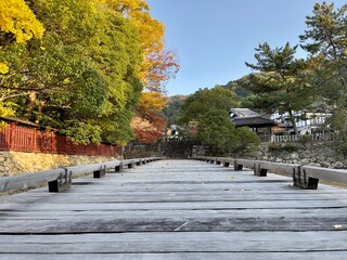 Fototapeta na wymiar 日本庭園と日本建築