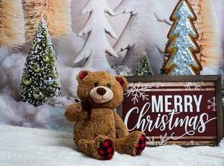 Teddy Bear toy next to "Merry Christmas" board with winter background
