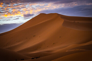 Fototapeta na wymiar sunrise over sand dunes of erg chebbi, merzouga, morocco, desert, north africa