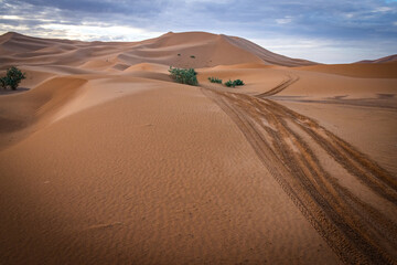 sunrise over sand dunes of erg chebbi, merzouga, morocco, desert, north africa, sahara