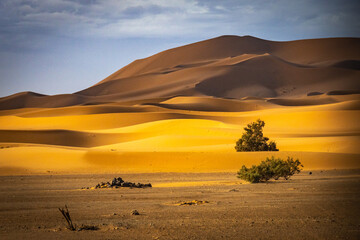 golden sand dunes of erg chebbi, merzouga, morocco, desert, north africa, sahara