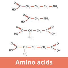 Amino acids.	Chemical structure of one of the neurotransmitters group including GABA, glycine, aspartic acid, and glutamic acid.