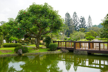 Obraz premium Traditional oriental park or garden from Japan or China with fish pond, lake or river, wooden bridge, meadow, and trees. Japanese garden design. Taman Bunga Nusantara, Cianjur, West Java, Indonesia.