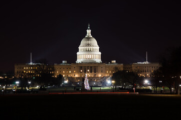 Capitol Building With Holiday Tree
