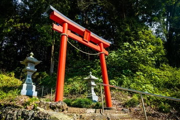 Gordijnen Murayama Sengen Shrine torii entrance red gate in Japan © PhotoSpirit