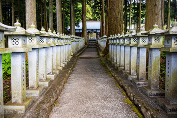 Japanese stone toro lanterns at shrine entrance