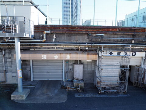 2019年1月に東京都中央区築地にて、古の淡水魚倉庫