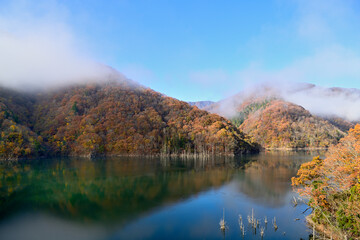 徳山湖の紅葉
