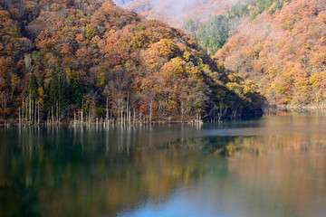 徳山湖の紅葉
