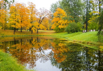 Autumn day in the park. Gold autumn.