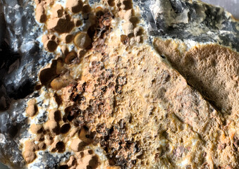 碼碯（Agate）Macro filter-processing