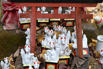 Fototapeta na wymiar 日本の古都　鎌倉の佐助稲荷神社の白狐様