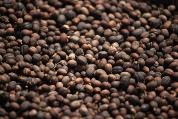 coffee beans background