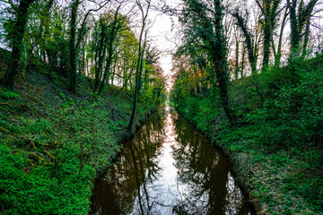 Canal in the woods