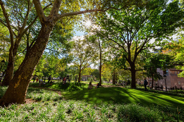 Fototapeta na wymiar Sunny view of the Washington Square Park