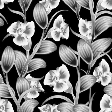 floral pattern with vintage style color on dark background. seamless pattern with tropical leaves and plants foliage. monochromatic stylish floral. Floral background. botanical illustration wallpaper
