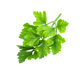 Parsley herb isolated on transparent png