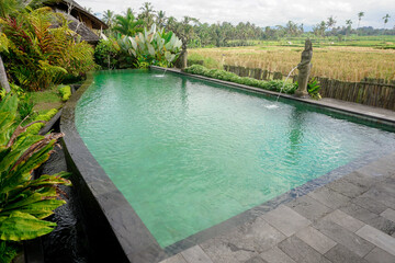 A portrait of a swimming pool beside rice field, trees, and plats in a resort in Ubud, Bali