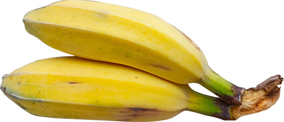 bananas isolated