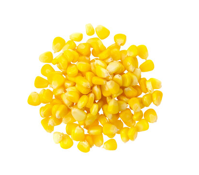 Corn seedsisolated on transparent png