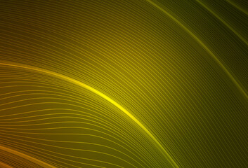 Dark Green, Yellow vector blurred shine abstract template.