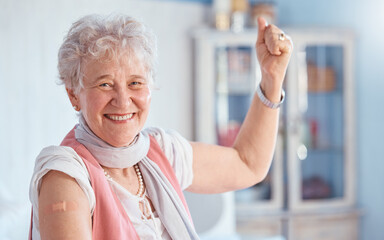 Covid, vaccine and bandaid with portrait of old woman for healthcare, medical and wellness. First...