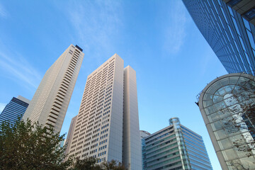 夕日に照らされる新宿の高層ビル群