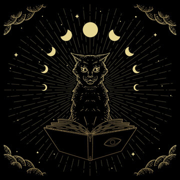 Hand drawn Magical and mystical black cat