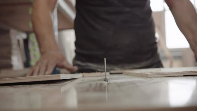 Factory worker cuts a tree with a circular saw. Sawdust of plywood is flying