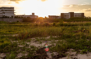vue sur des bâtiments au bout d'un champ avec de longues herbes au coucher de soleil