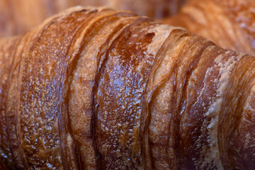 Closeup of a croissant pastry