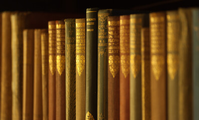 A row of antique books on a bookshelf seen obliquely with shallow depth-of-focus and warm-toned lighting