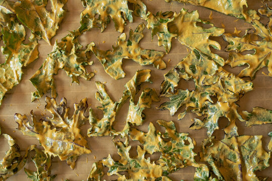Looking down at homemade Khale chips on baking sheet.  Chips are covered in nutritional yeast.  
