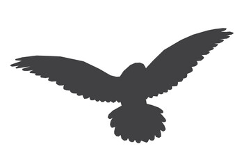 Obraz premium pigeon black silhouette illustration isolated on white background