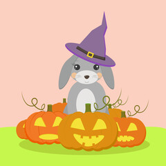 a rabbit in a witchs hat sits surrounded by pumpkins