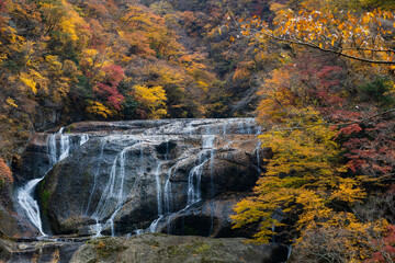 袋田の滝　(秋)